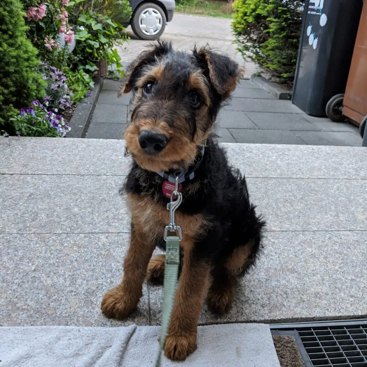 Mädchenhaft weiblich